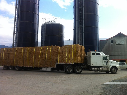 3x4 wheat straw bales loaded for delivery