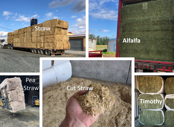 Square bales in a big stack