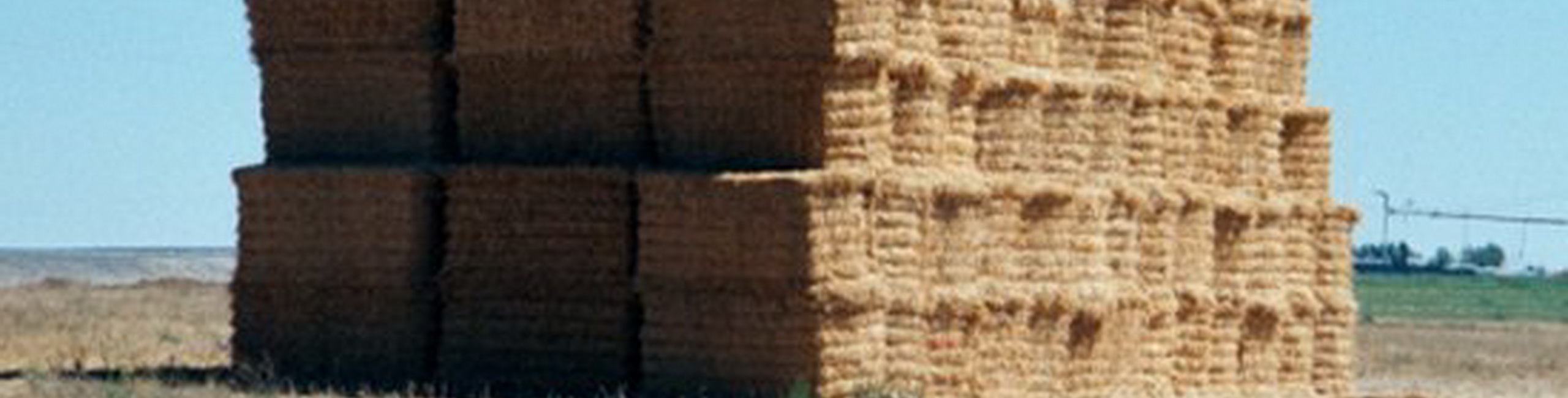 Wheat Straw Bales